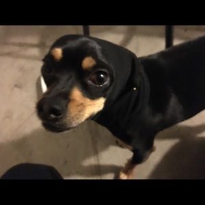 Meet your Posher, Doris